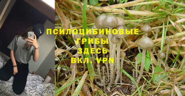 стафф Осташков