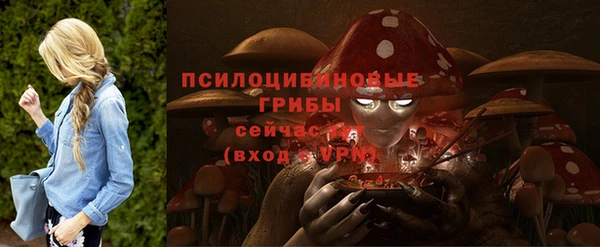 шишки Остров